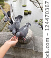 Photo of wild pigeons feeding from a child's hand 124470367