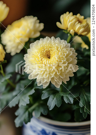 花瓶中的菊花 AI 影像 124470604