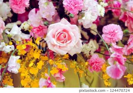 月季花 月季花 124470724