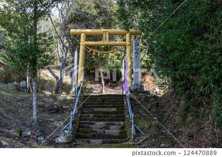 天主社境內的鳥居,周圍環繞著苔蘚和森林 天主社境內的鳥居,周圍環繞著苔蘚和森林 124470889