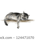 Lying cat 124471070