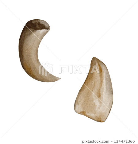 Big sharp tooth of dinosaur. Long claw of predator. Set of fossils. Prehistoric animals. Watercolor illustration. Hand drawing. High quality illustration 124471360