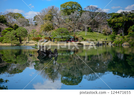 Pine reflected in the pond (Rikugien Garden) 124471655