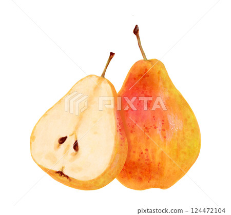 Fruit composition of yellow pear. Watercolor and marker illustration. Ripe fruits from tree. Hand drawn isolated art. Vegetarian products organic food. Clip art for juice packaging design, menu Fruit composition of yellow pear. Watercolor and marker illustration. Ripe fruits from tree. Hand drawn isolated art. Vegetarian products organic food. Clip art for juice packaging design, menu 124472104