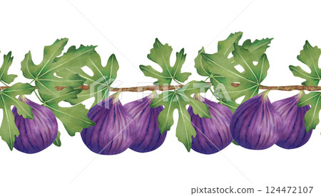 Branch of purple fig with leaves and whole fruits. Seamless border. Watercolor illustration. Horizontal banner for design of farm labels menu, recipes. Fruit harvest. Hand drawn isolated sketch Branch of purple fig with leaves and whole fruits. Seamless border. Watercolor illustration. Horizontal banner for design of farm labels menu, recipes. Fruit harvest. Hand drawn isolated sketch 124472107