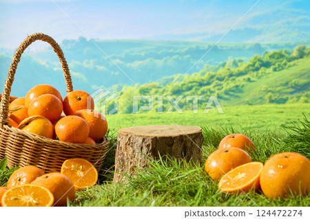 Empty wooden platform from a tree stump cut across the forest. Basket of Citrus Burst Orange placed on the green grass. Sweet Oranges displayed on the meadow. Low hills in the background Empty wooden platform from a tree stump cut across the forest. Basket of Citrus Burst Orange placed on the green grass. Sweet Oranges displayed on the meadow. Low hills in the background 124472274
