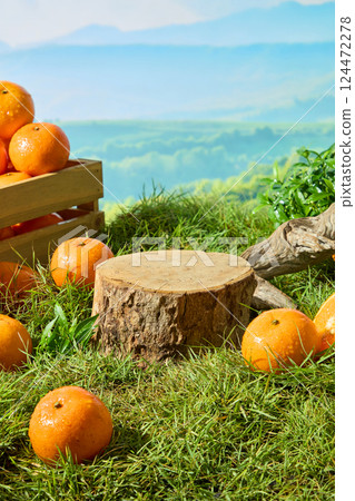 An ancient tree in the rainforest has been cut in half, creating a flat wooden platform for the produce. Ripe oranges with morning dew lie on the grass. Rough dry branches, natural landscape. 124472278