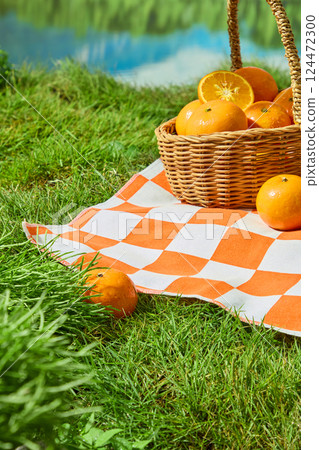 Picnic basket with handles held ripe Citrus Burst Orange with dew drops on their peels. The basket was placed on a checkered mat spread on green grass. The lush grass covered one side of oranges. 124472300