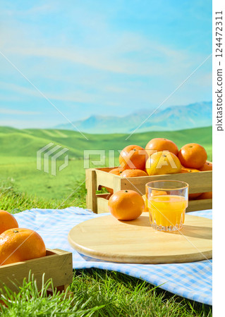 Plaid carpet covers the green lawn. Ripe orange and a glass of orange juice are placed on a wooden cutting board in the middle of a bright green prairie. Blue sky background with rolling hills. 124472311
