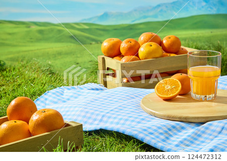 Glasses of juice from fresh oranges placed on a round wooden tray in the field. Shiny oranges in rectangular wooden crates on a checkered picnic mat. Green grasslands with lush lawns stretching out Glasses of juice from fresh oranges placed on a round wooden tray in the field. Shiny oranges in rectangular wooden crates on a checkered picnic mat. Green grasslands with lush lawns stretching out 124472312