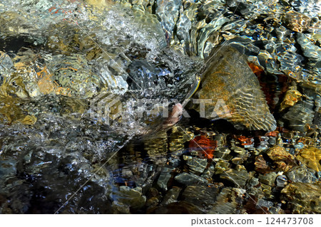 A man fishing with lures in the Hayato River in Tanzawa A man fishing with lures in the Hayato River in Tanzawa 124473708