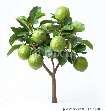 beautiful young woman with clean skin of face beautiful young woman with clean skin of face 124474045