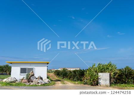 藍天下的熱帶房屋 124474258