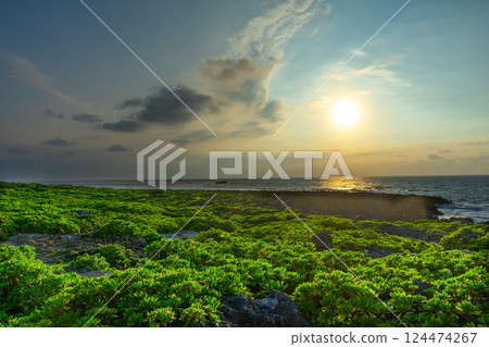 從海岸看日落 124474267