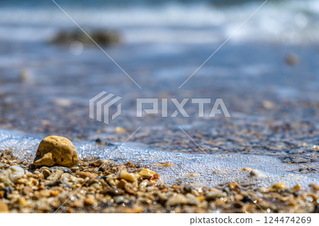 shells washed up on the shore 124474269