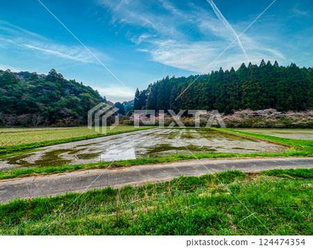 Spring rural area Spring rural area 124474354