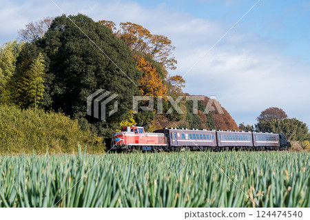 【真岡線】穿過真岡根木端地區的蒸汽機車 124474540