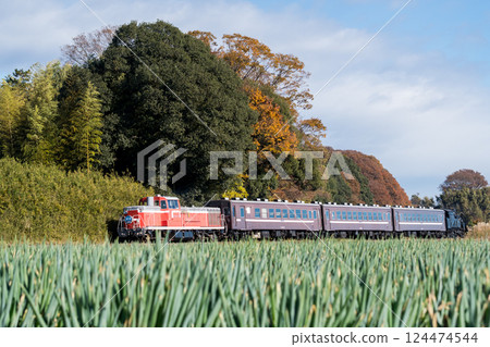 【真岡線】穿過真岡根木端地區的蒸汽機車 【真岡線】穿過真岡根木端地區的蒸汽機車 124474544