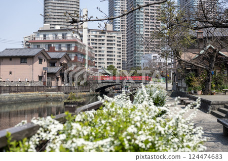 Spring scenery of Tsukishima and Tsukudajima 124474683