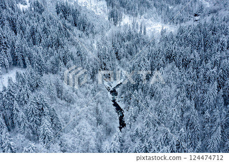 Aerial image with a snow-covered woodland and river in the Bavarian Alps, Germany 124474712