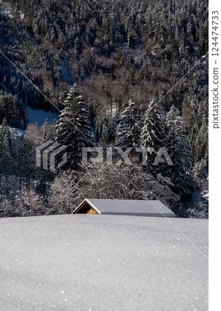 Deep snow scenery in the Bavarian Alps with log cabin rooftop snow-covered 124474733