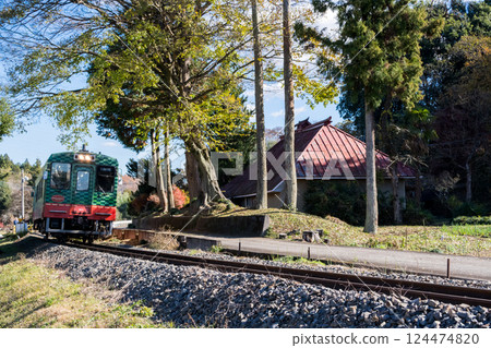[Mooka Line] A local train passing by a temple 124474820