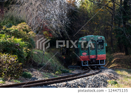 [真岡線] 經過寺廟的本地火車 124475135