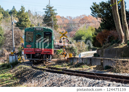 [Mooka Line] A local train passing by a temple 124475139