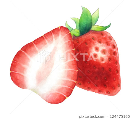 兩張草莓圖 124475160