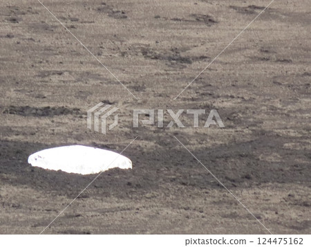 甲子園二壘 甲子園二壘 124475162