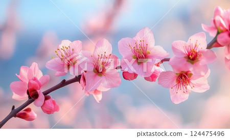 Pink Flowers Pink Flowers 124475496