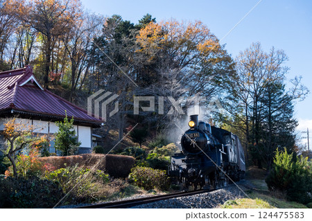 [Mooka Line] SL passing by a temple 124475583