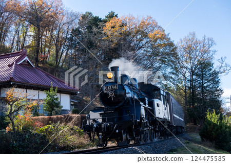 [Mooka Line] SL passing by a temple 124475585