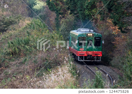 [Mooka Line] A local train passing through the trees 124475826