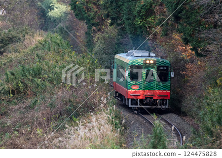 [Mooka Line] A local train passing through the trees 124475828