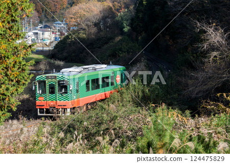 [Mooka Line] A local train passing through the trees 124475829
