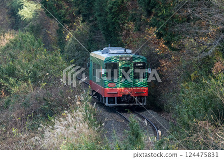 [Mooka Line] A local train passing through the trees 124475831
