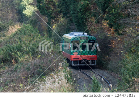 [Mooka Line] A local train passing through the trees 124475832
