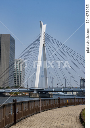 隅田川和晴海運河沿岸的風景 隅田川和晴海運河沿岸的風景 124475985