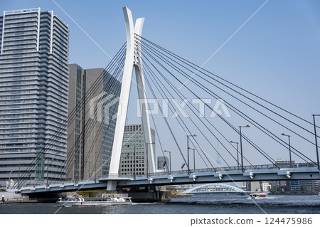 隅田川和晴海運河沿岸的風景 124475986