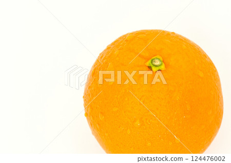 Fresh spring fruits navel oranges on white background 124476002
