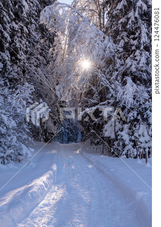 Sunny winter scenery with snow-covered trees and road Sunny winter scenery with snow-covered trees and road 124476081