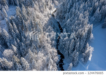 Winter drone image with snowy forest and mountain river in the Bavarian Alps, Germany 124476085