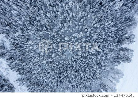 Winter pine forest, drone aerial view, in the Bavarian Alps, Germany 124476143
