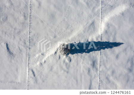 Fir tree minimalist on a snow-covered valley, aerial image in the Bavarian Alps, Germany Fir tree minimalist on a snow-covered valley, aerial image in the Bavarian Alps, Germany 124476161