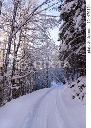 Forest road covered in snow on a sunny day in December in the Bavarian Alps. 124476164