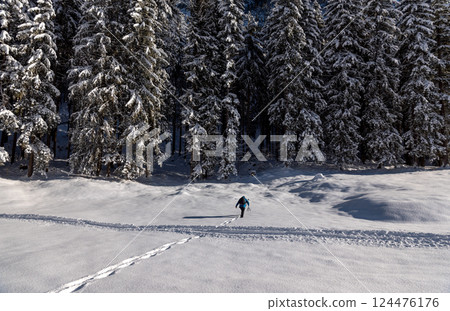 Photographer walking through deep snow toward the forest in the Bavarian Alps, Germany 124476176