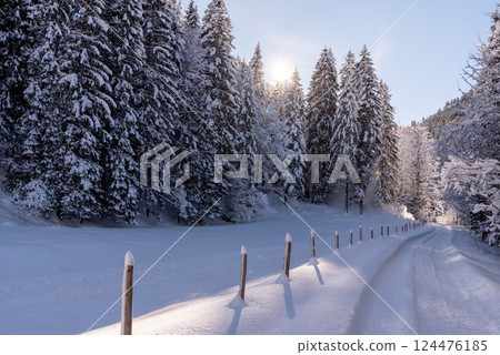 Snow-covered forest road on a beautiful sunny day in the Bavarian Alps, Germany 124476185
