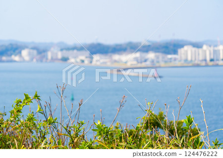 View of Tokyo Bay and Yokosuka from Sarushima 124476222