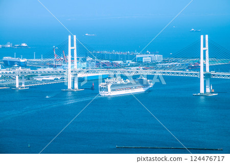 日本橫濱城市景觀 - 大黑碼頭的汽車運輸船和鑽石公主號離港的景色 124476717
